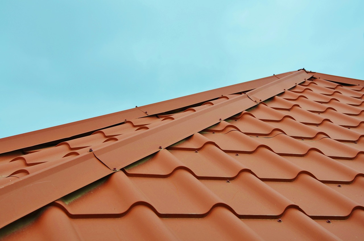 Professional Roof Inspection